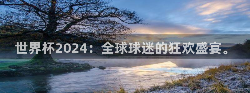 世界杯赛程表：世界杯2024：全球球迷的狂欢盛宴。