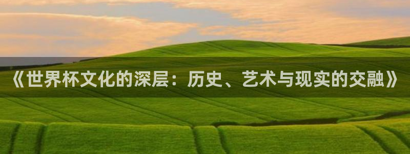 欧洲区世界杯预选赛：《世界杯文化的深层：历史、艺术与现实的交融》