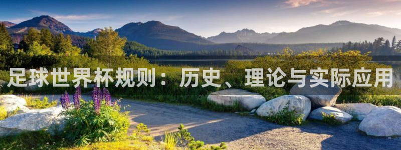世界杯女足直播：足球世界杯规则：历史、理论与实际应用