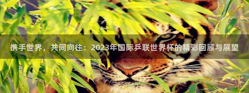 2026世界杯德国队阵容：携手世界，共同向往：2023年国际乒联世界杯的精彩回顾与展望