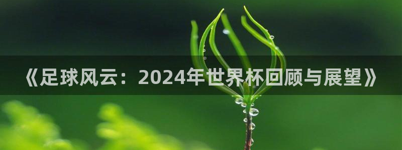 世界杯16强赛程表：《足球风云：2024年世界杯回顾与展望》