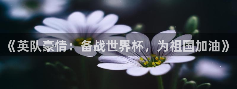 女足世界杯赛程：《英队豪情：备战世界杯，为祖国加油》