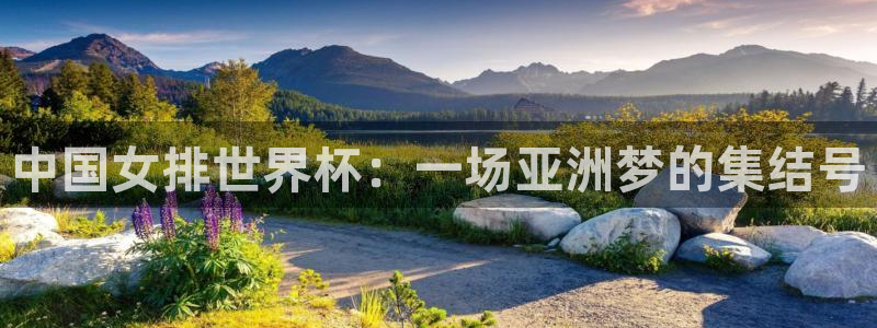 世界杯欧洲区预选赛：中国女排世界杯：一场亚洲梦的集结号