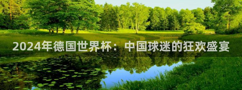 看世界杯：2024年德国世界杯：中国球迷的狂欢盛宴