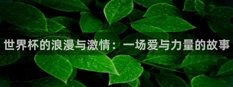 世界杯比赛直播：世界杯的浪漫与激情：一场爱与力量的故事