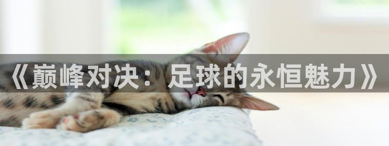 世界杯赛程时间表：《巅峰对决：足球的永恒魅力》