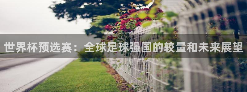 世界杯在线直播入口：世界杯预选赛：全球足球强国的较量和未来展望
