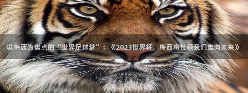 世界杯直播观看：以梅西为焦点的“世界足球梦”：《2023世界杯，梅西将带领我们走向未来》