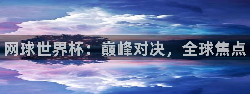 2026年世界杯直播平台：网球世界杯：巅峰对决，全球焦点