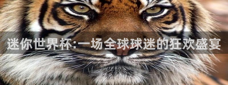 世界杯直播网站：迷你世界杯:一场全球球迷的狂欢盛宴