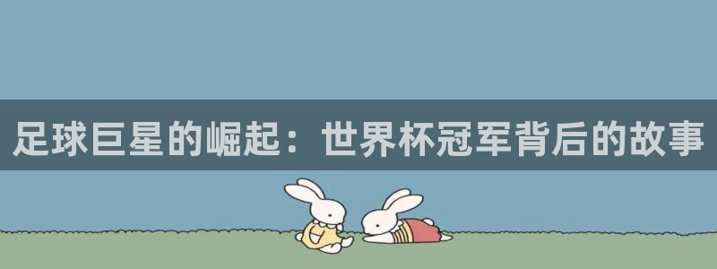 世界杯系列赛：足球巨星的崛起：世界杯冠军背后的故事