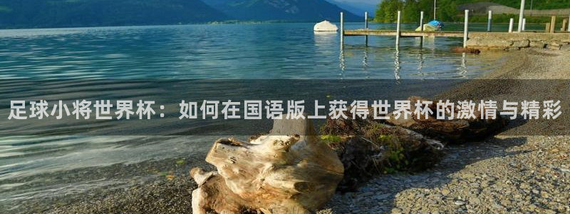 联赛杯直播：足球小将世界杯：如何在国语版上获得世界杯的激情与精彩